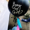 Paquete Baby Reveal - Boy or Girl?