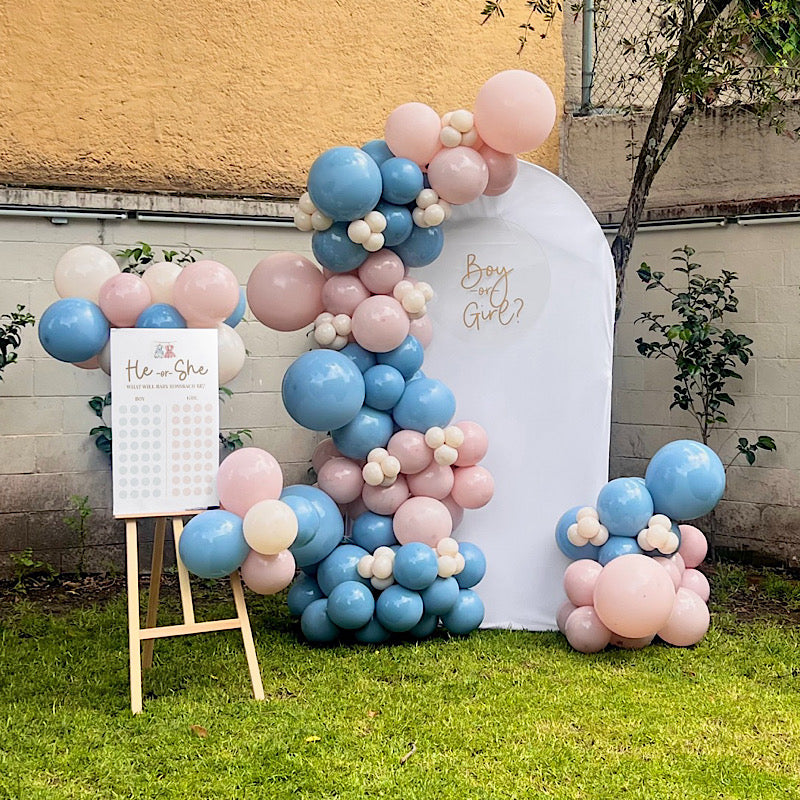 Paquete Baby Reveal - Boy or Girl?