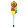 FELIZ DINO-CUMPLE! Lava Bouquet con Orbz (personalizable) - tuglobero